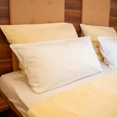 Unter Den Linden 3* روديسهايم ام رين